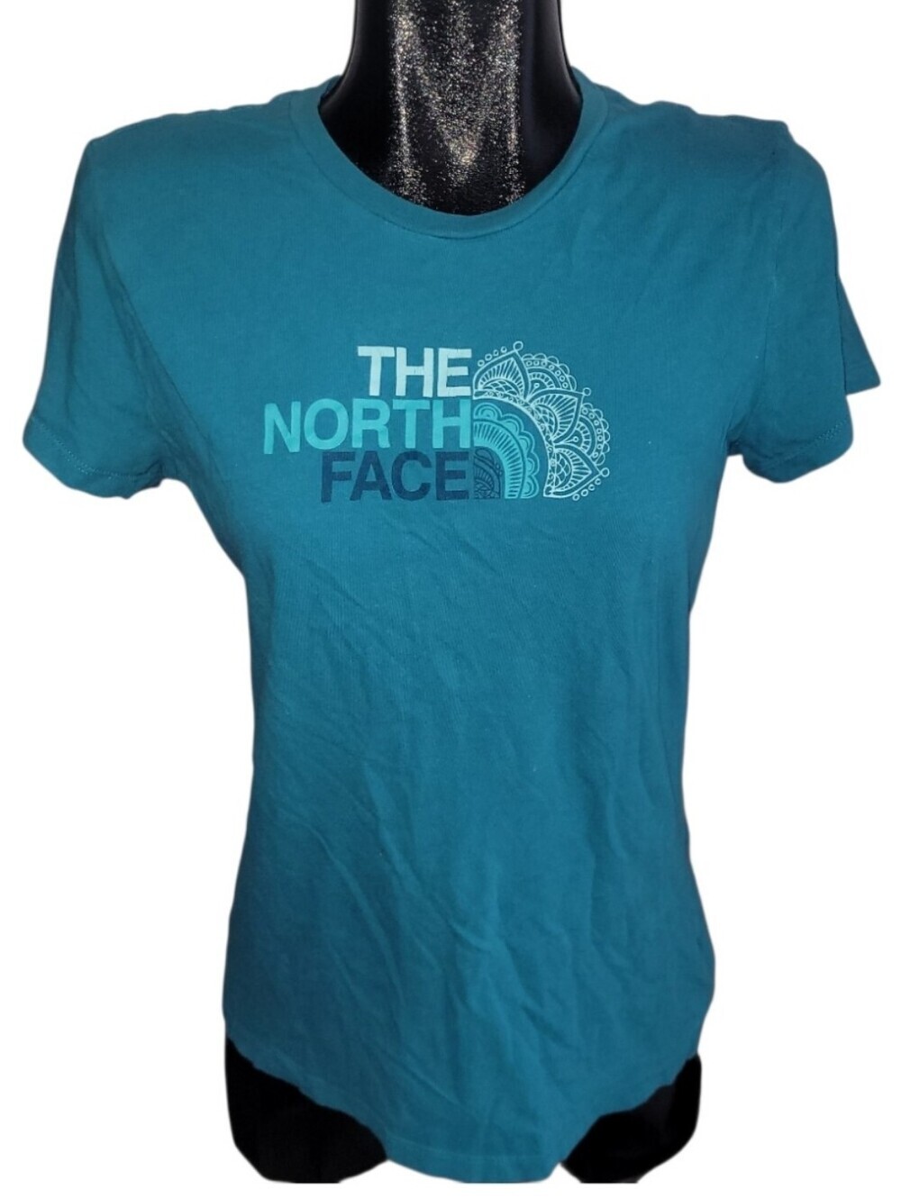 The North Face Women’s Aqua Logo Front Crew Neck Classic Fitted Tee Size L
